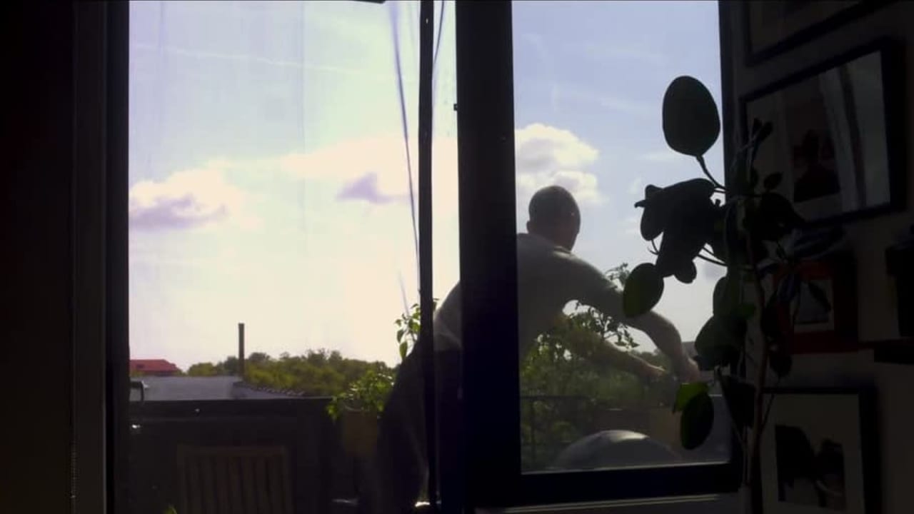 A garden in summer, from the short film I Grew Up
